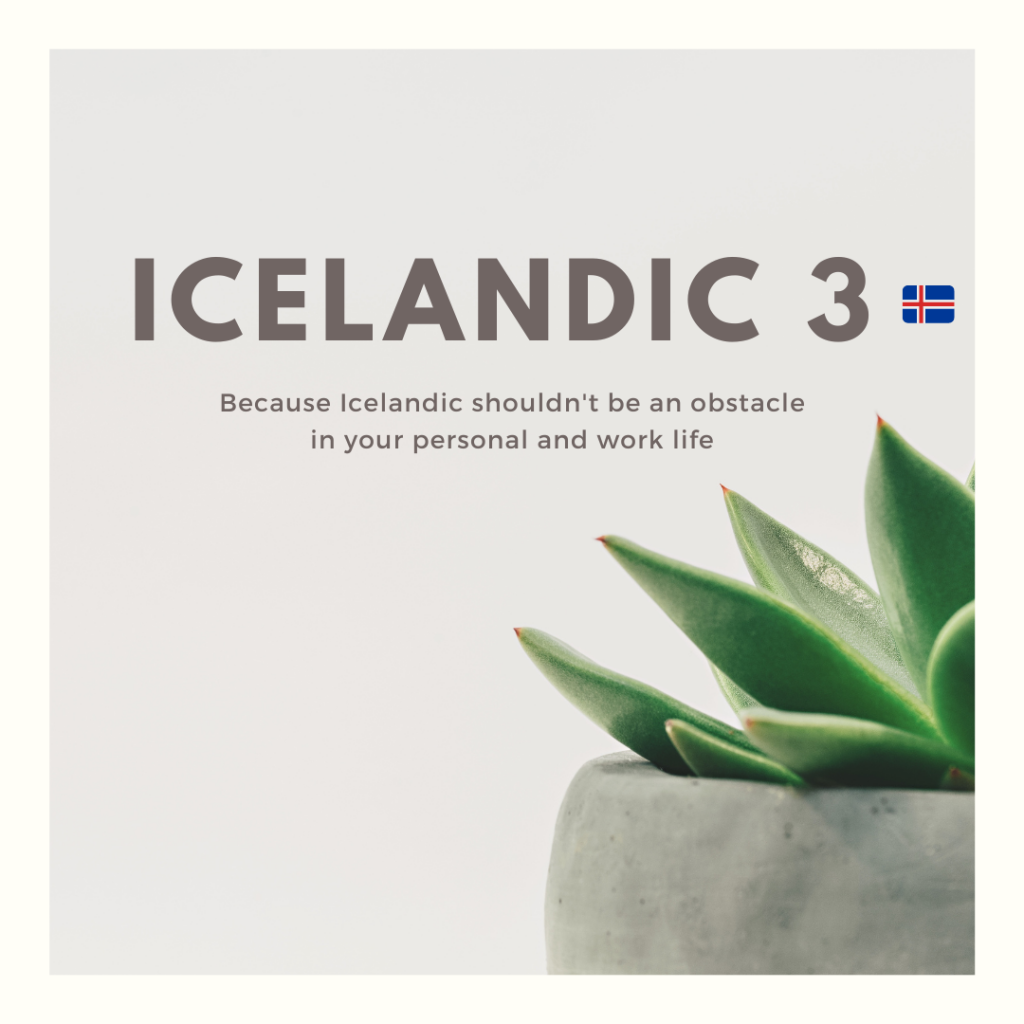 Registration open for Icelandic 3. Icelandic beginners' course (A2.1).